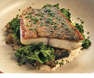 Barramundi